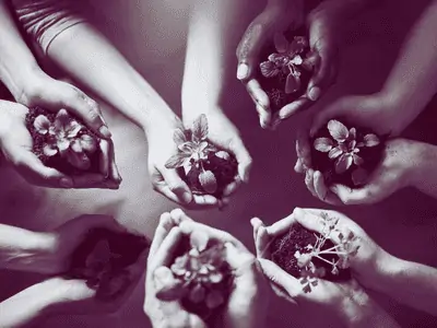 hands holding plants